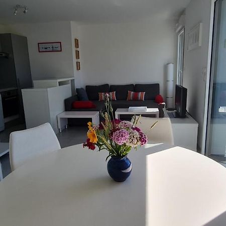 Appartement Devant La Plage Avec Piscine Concarneau Eksteriør billede